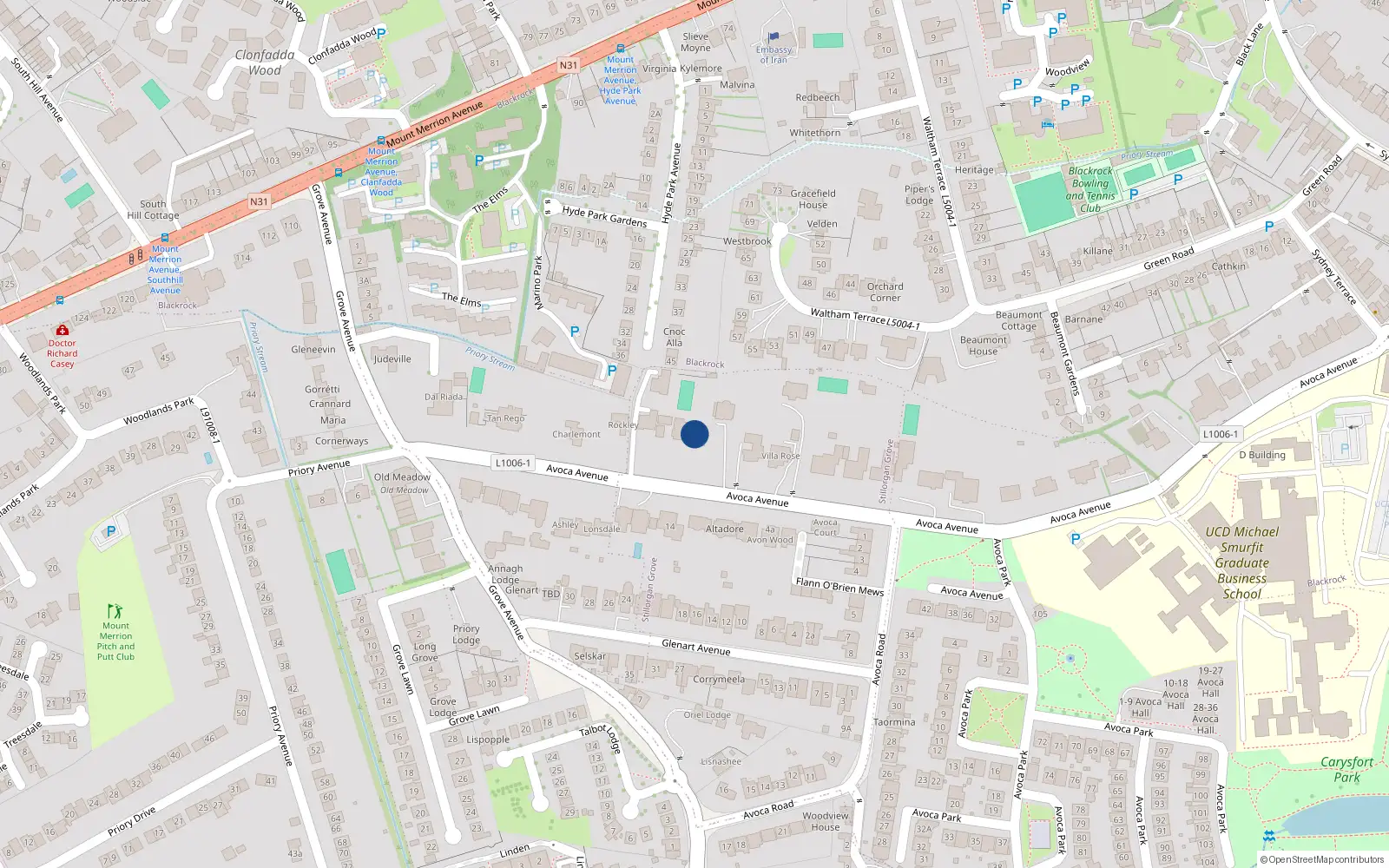 Overhead map showing the location of Avoca Avenue, Blackrock