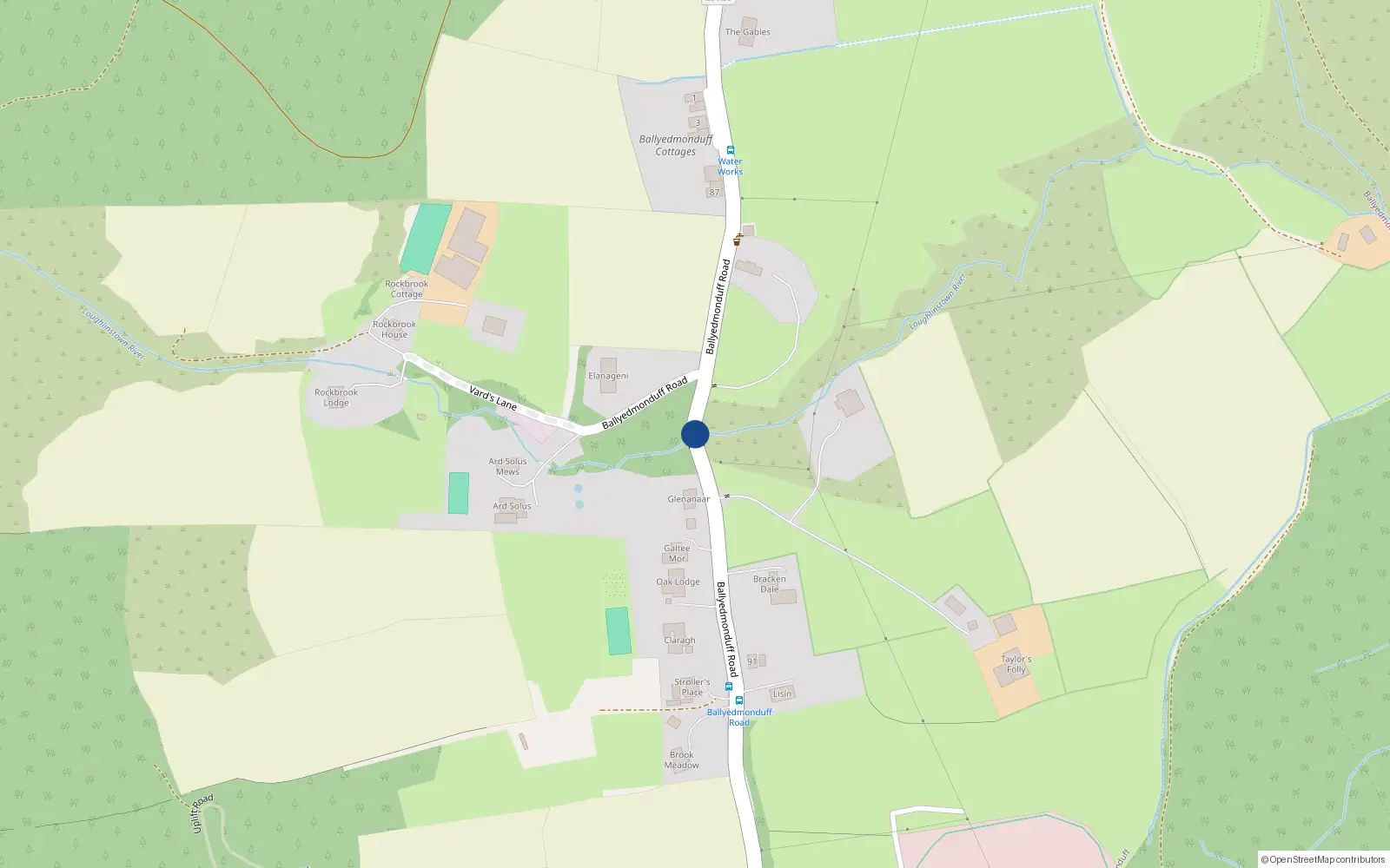 Overhead map showing the location of Riocht na Greine, Ballyedmunduff Road, Sandyford