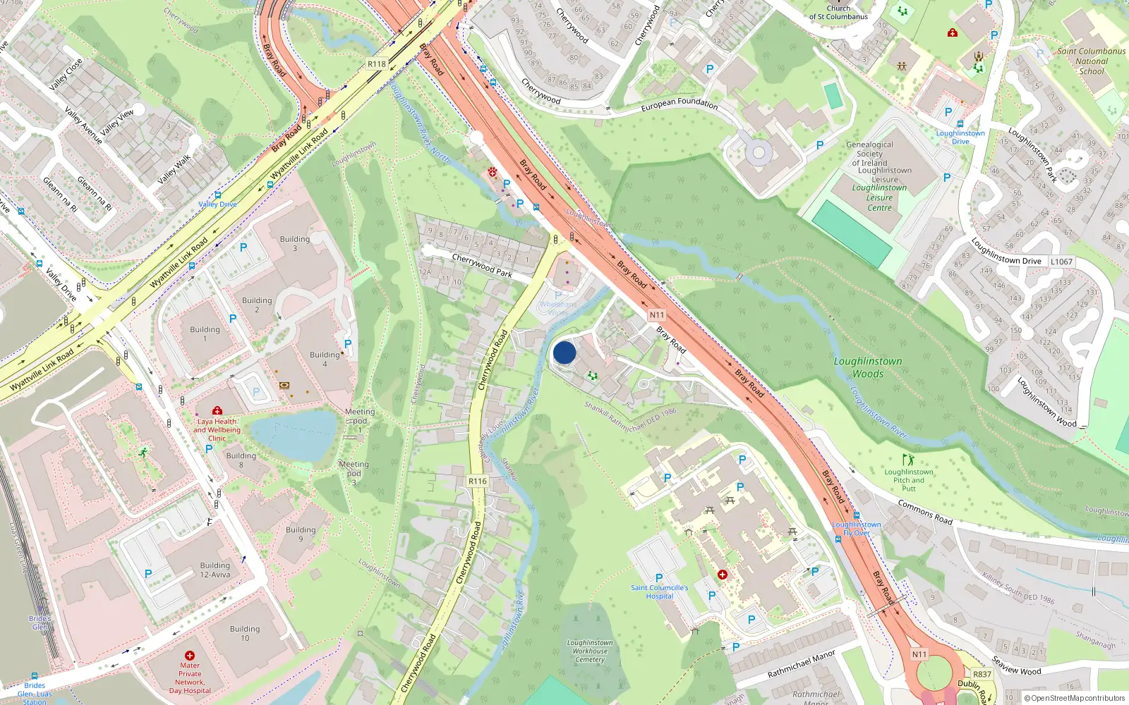 Overhead map showing the location of Bray Road, Loughlinstown