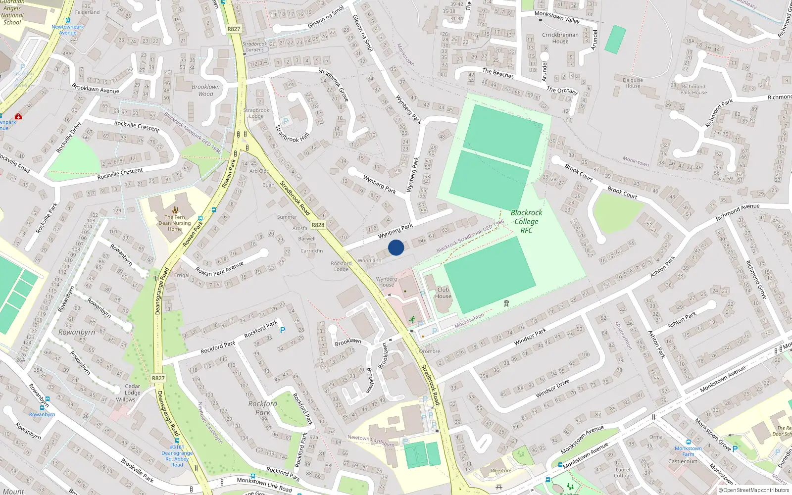 Overhead map showing the location of Wynberg Park, Blackrock