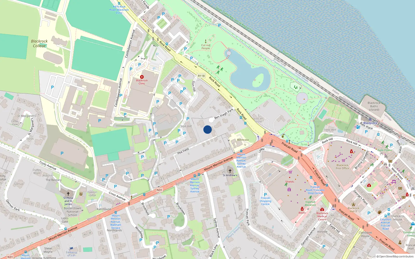 Overhead map showing the location of Ben Inagh Park, Blackrock