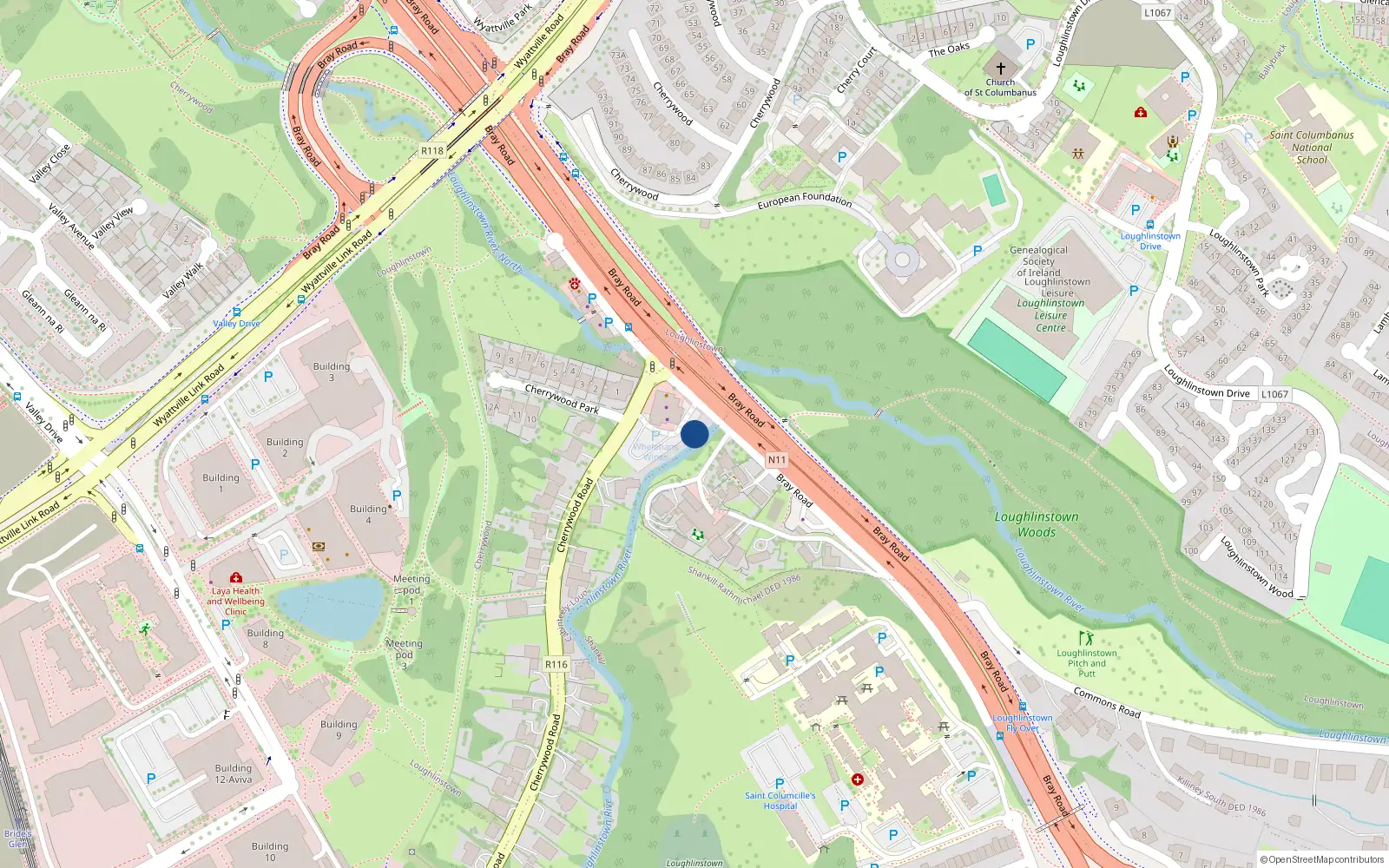 Overhead map showing the location of Bray Road, Loughlinstown