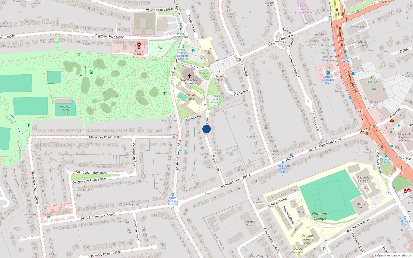 Overhead map showing the location of Trees Avenue, Mount Merrion