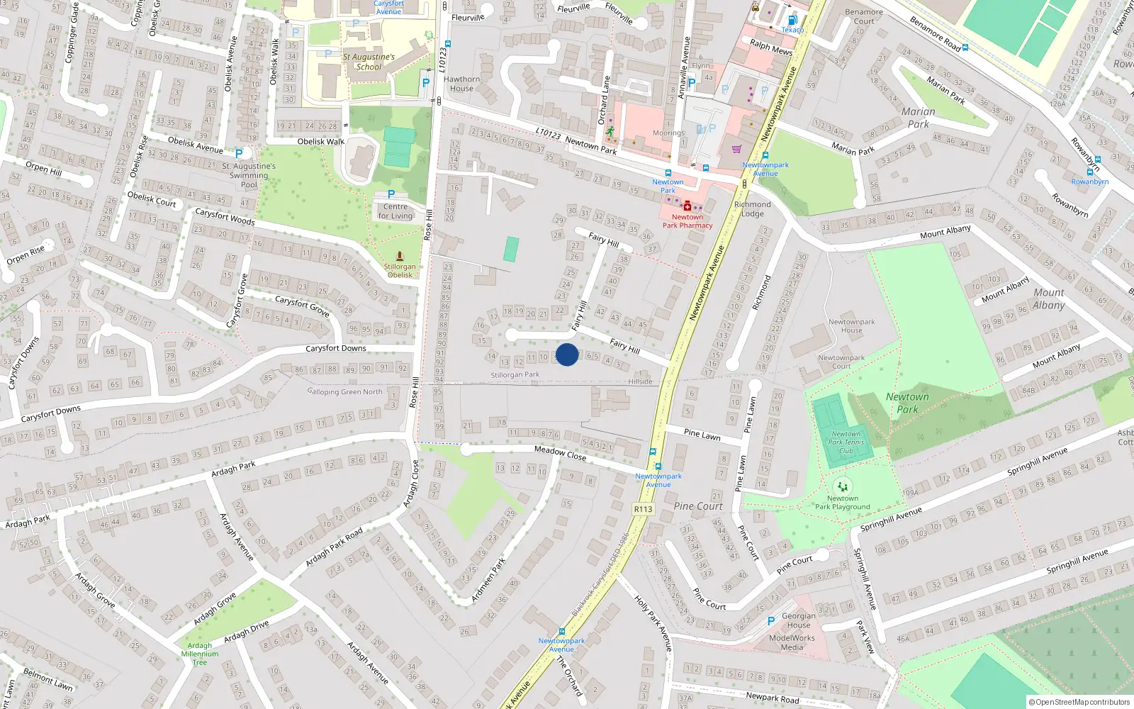 Overhead map showing the location of Rushlee, 8 Fairyhill, Blackrock
