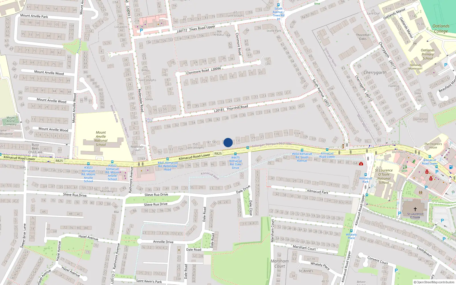 Overhead map showing the location of Salaam, 139 Lr Kilmacud Road, Stillorgan