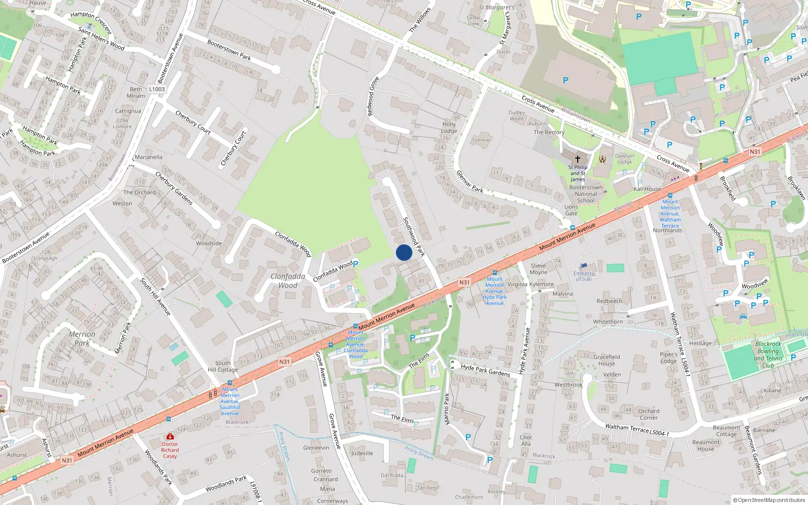 Overhead map showing the location of Southwood Park, Blackrock