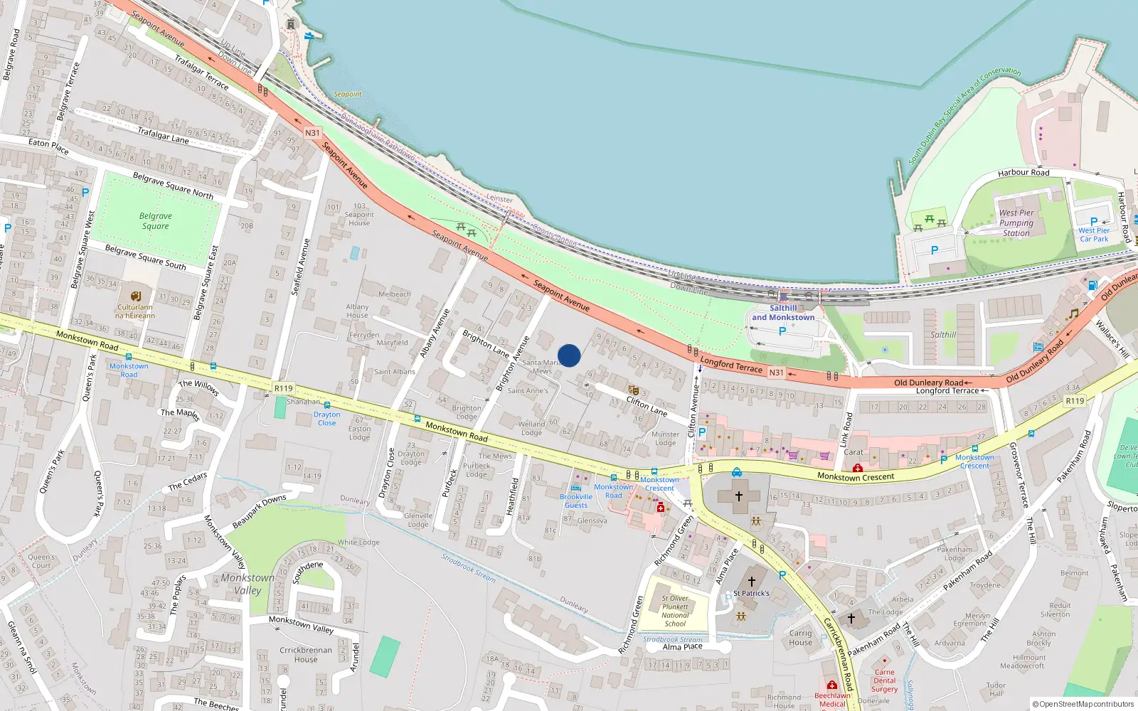 Overhead map showing the location of Seapoint Avenue, Blackrock
