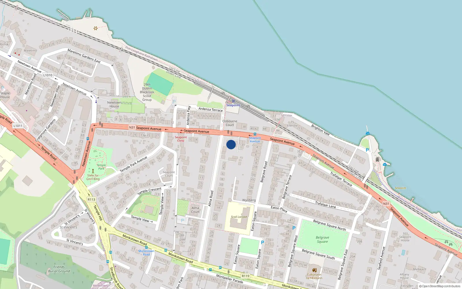 Overhead map showing the location of 31 Seapoint Avenue, Blackrock