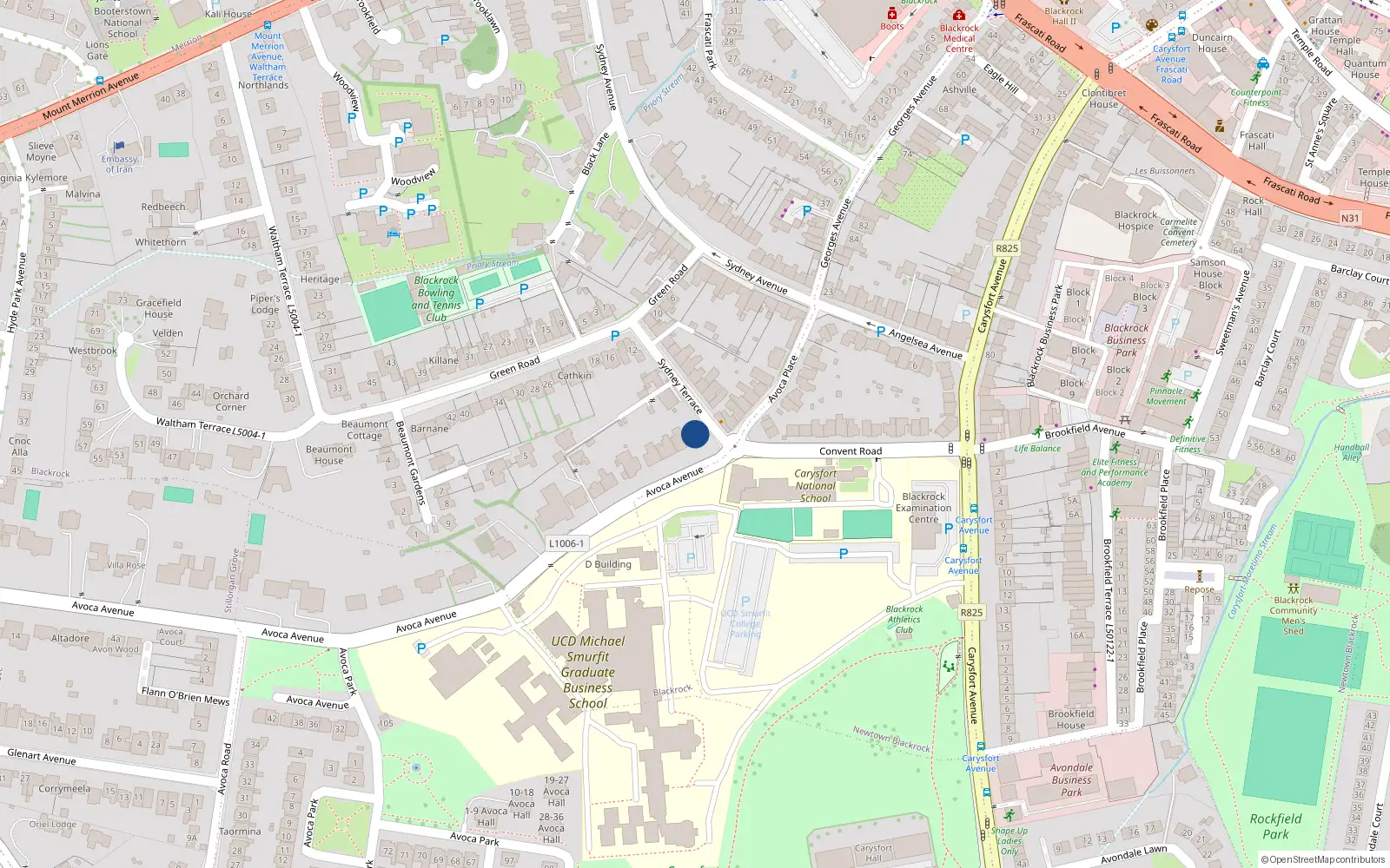 Overhead map showing the location of 1 Avoca Avenue, Blackrock