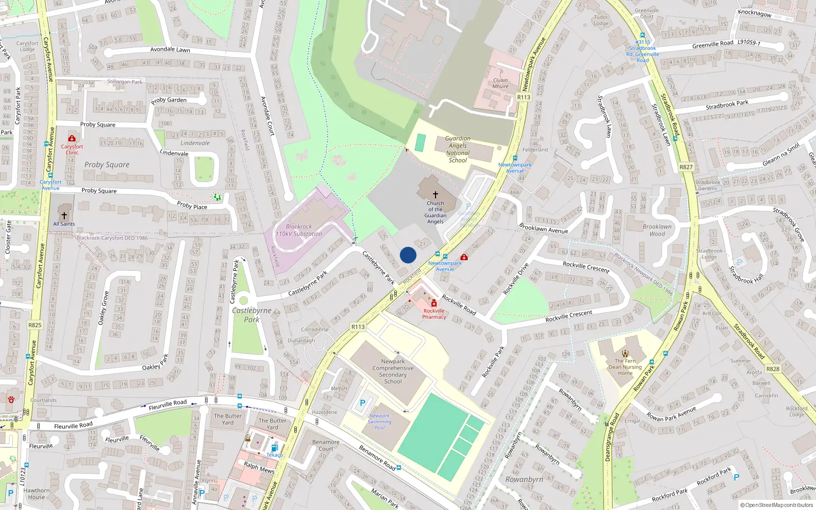 Overhead map showing the location of Shamba, 27 Newtownpark Avenue, Blackrock