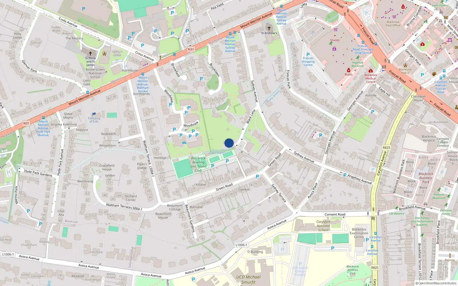 Overhead map showing the location of Sydney Avenue, Blackrock