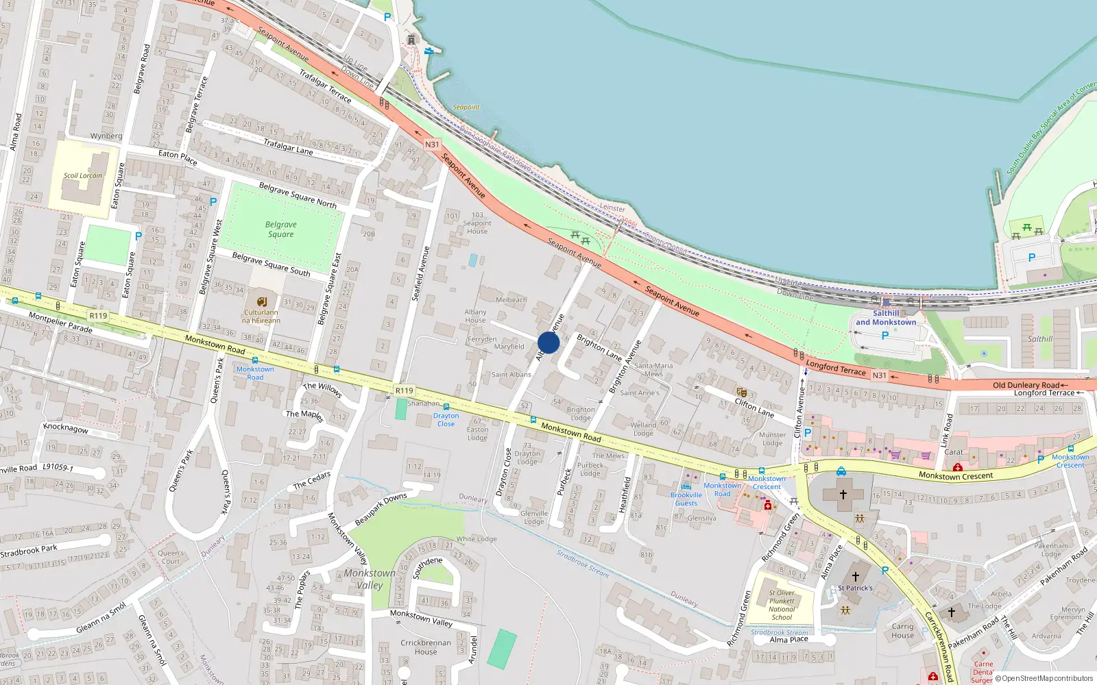 Overhead map showing the location of Albany Avenue, Monkstown