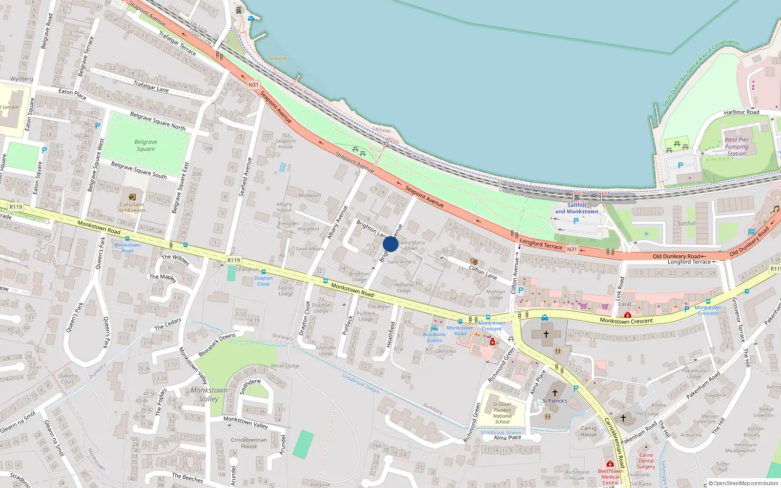Overhead map showing the location of Brighton Avenue, Monkstown