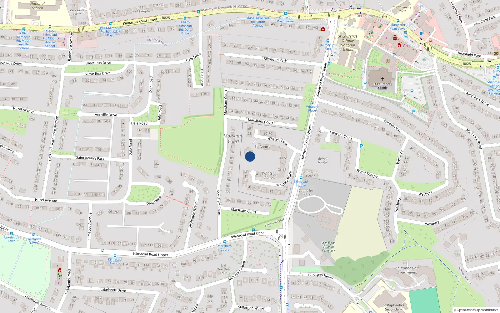 Overhead map showing the location of Kilmacud Road Upper, Blackrock