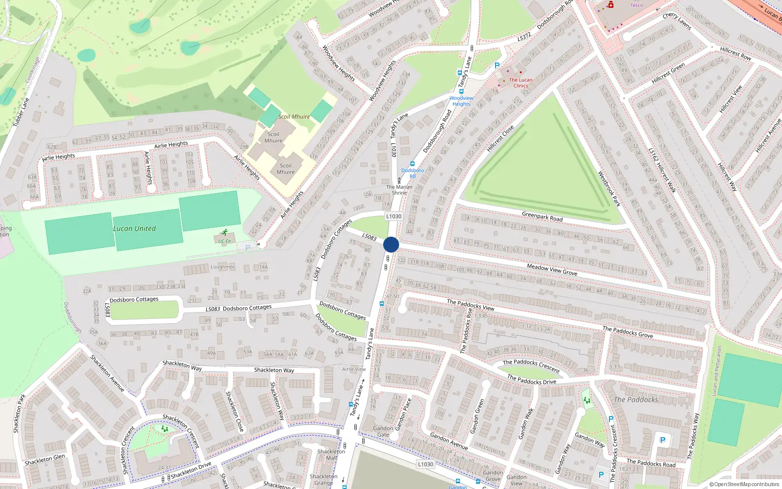 Overhead map showing the location of Tandy's Lane, Lucan