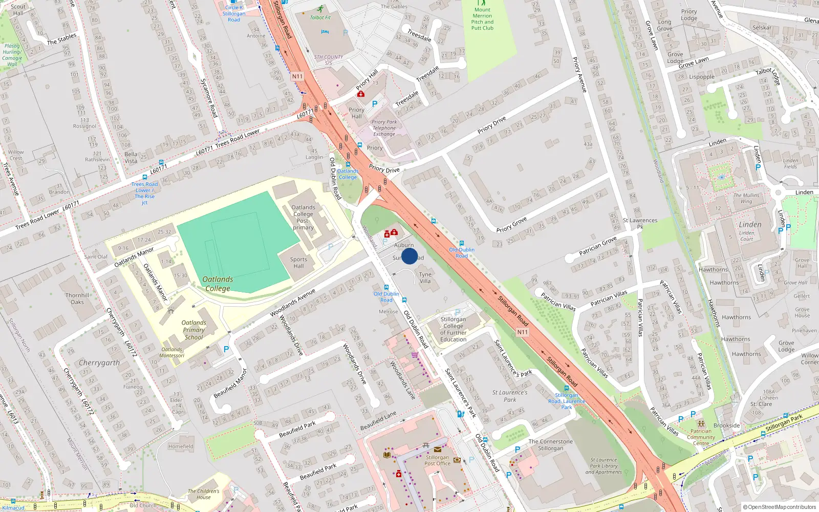 Overhead map showing the location of Old Dublin Road, Stillorgan