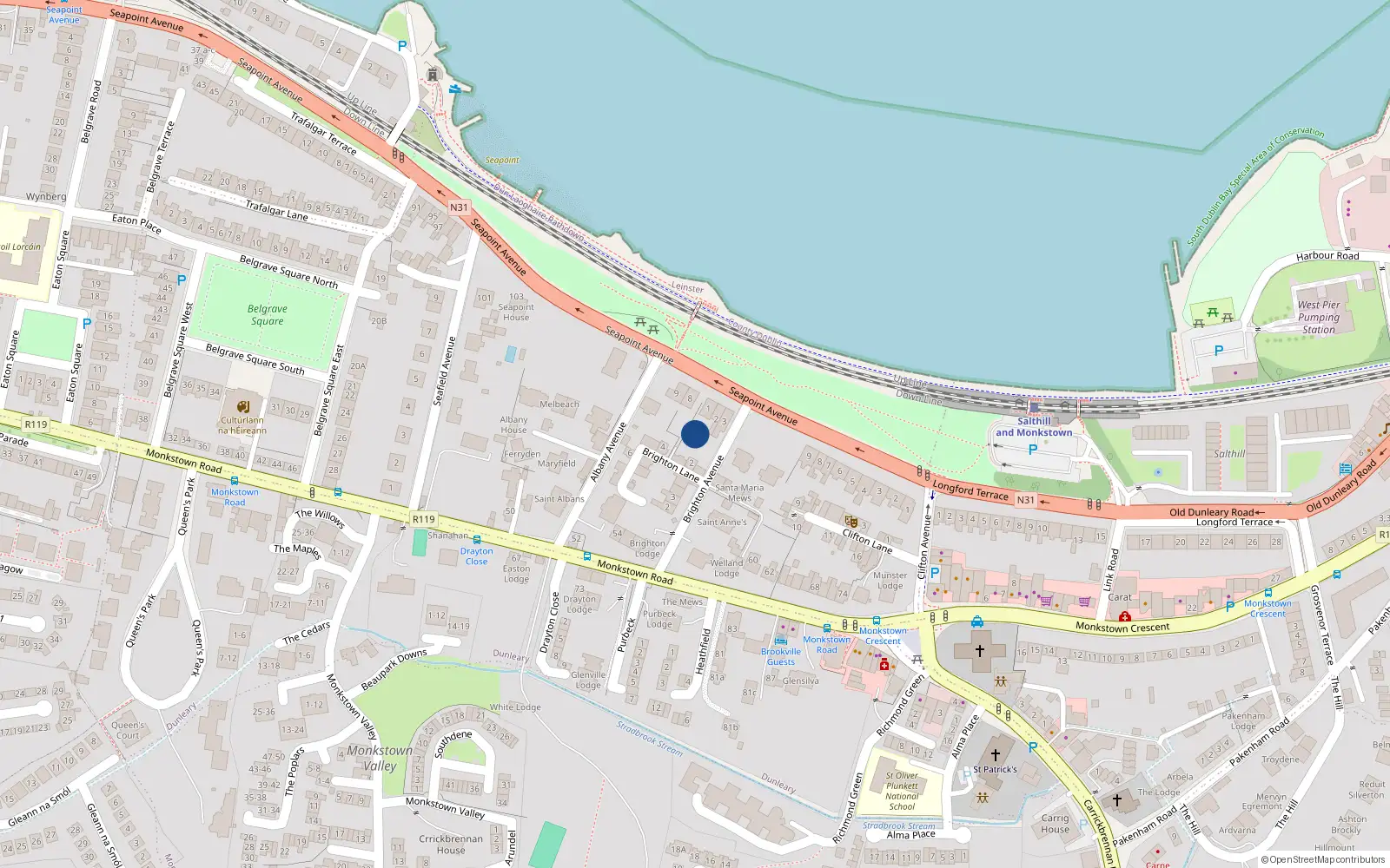 Overhead map showing the location of Brighton Lane, Blackrock