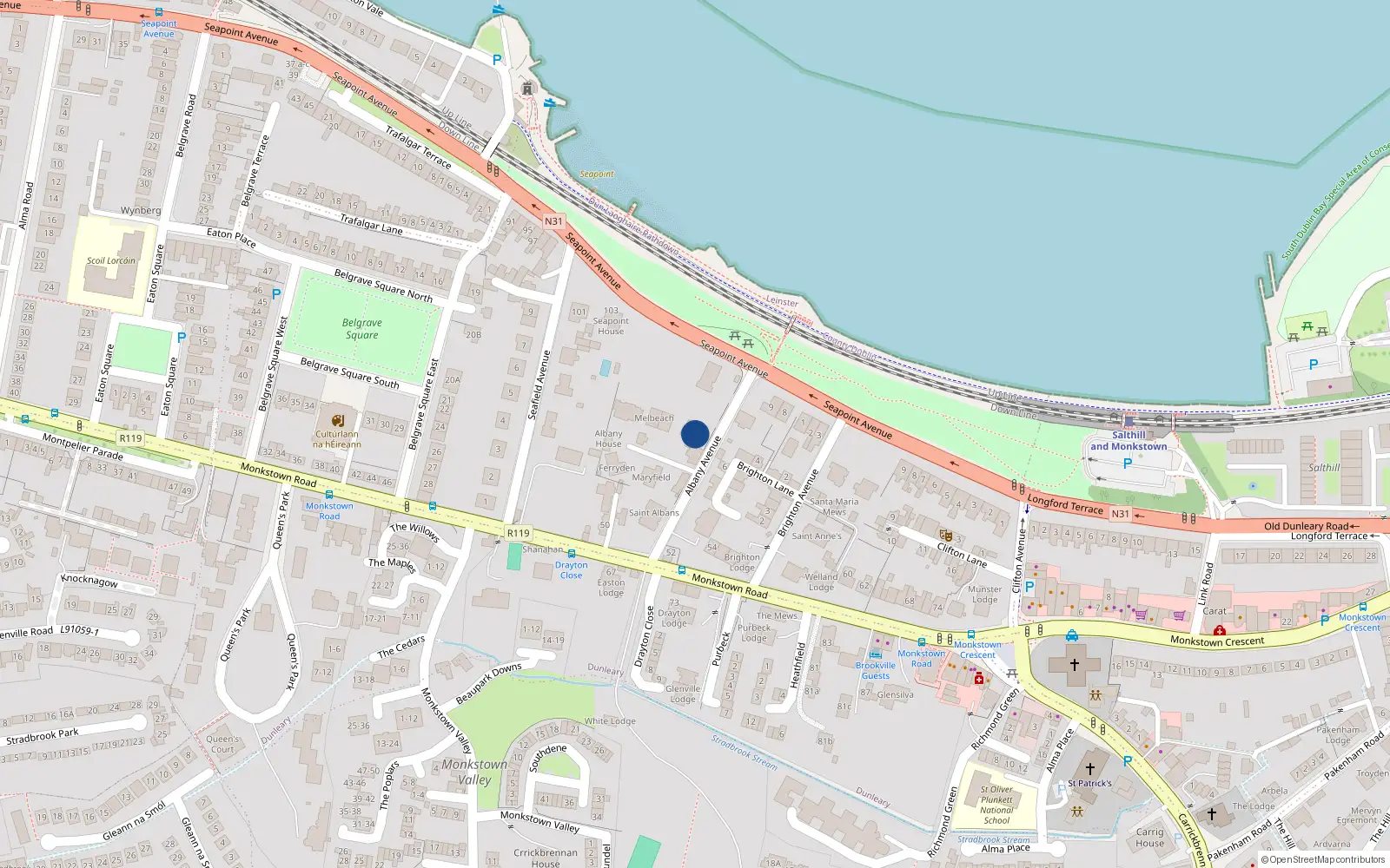 Overhead map showing the location of Albany Avenue, Blackrock