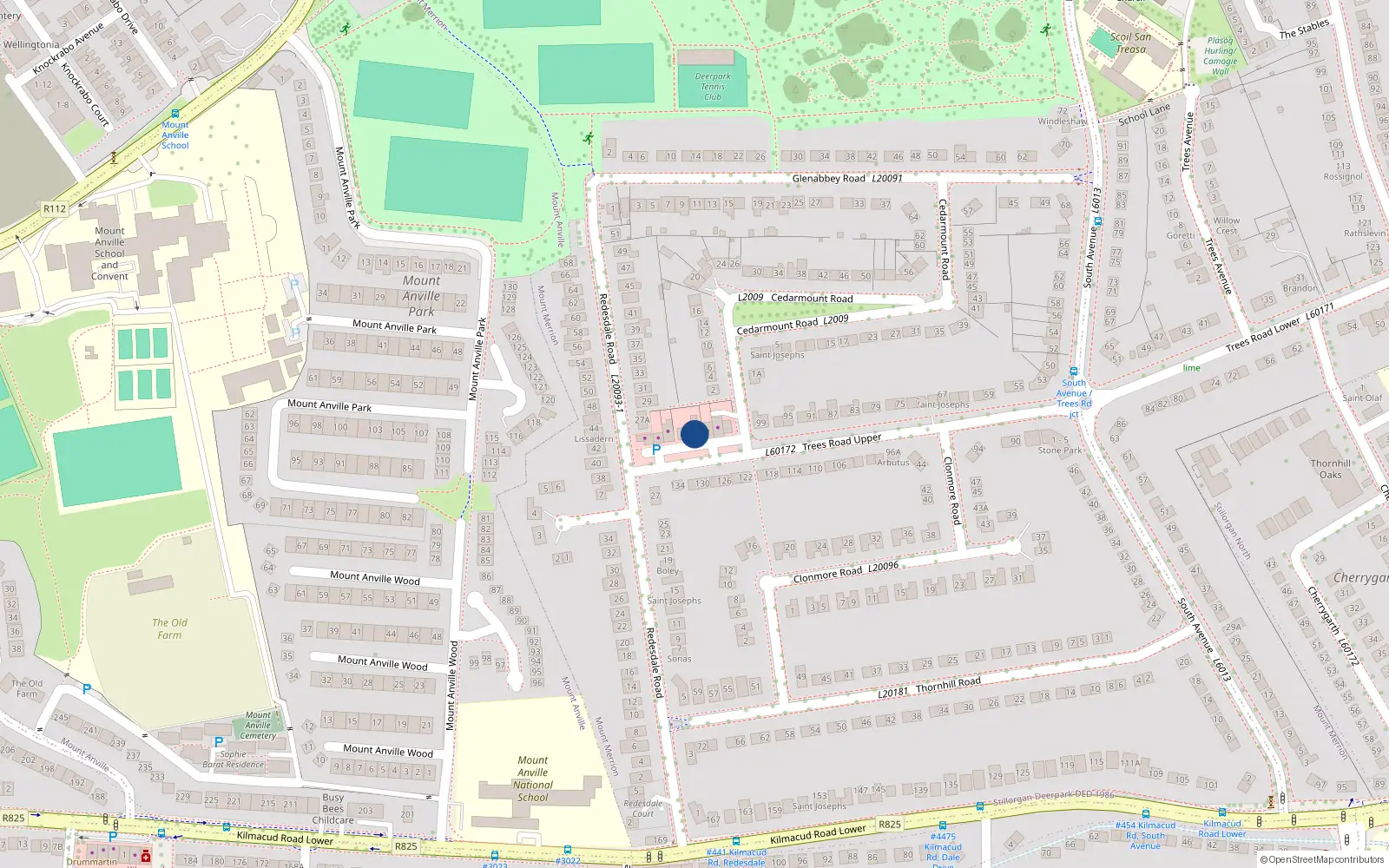 Overhead map showing the location of The Apartment, 105 Trees Road, Mount Merrion