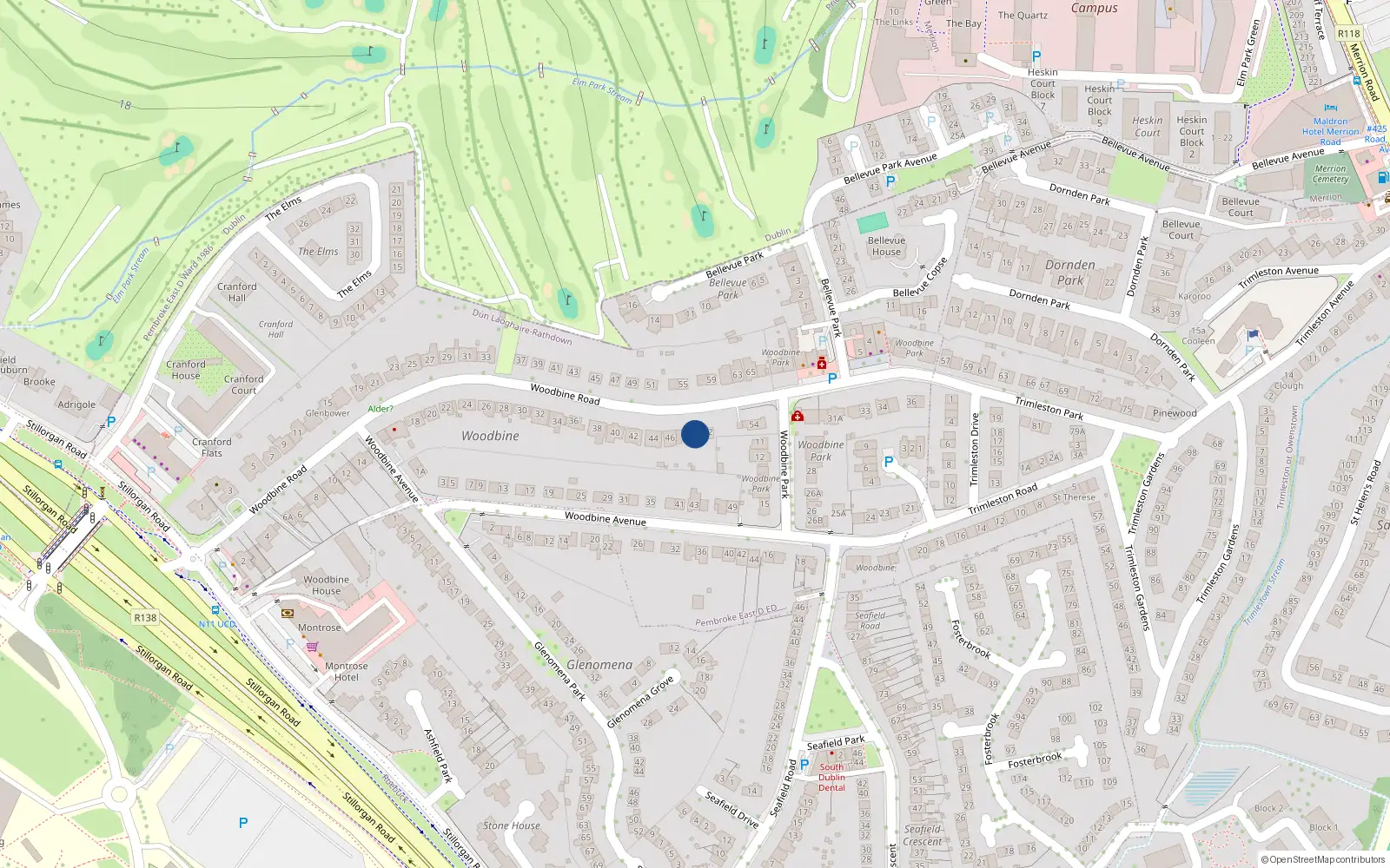Overhead map showing the location of The Braes, 50 Woodbine Road, Blackrock