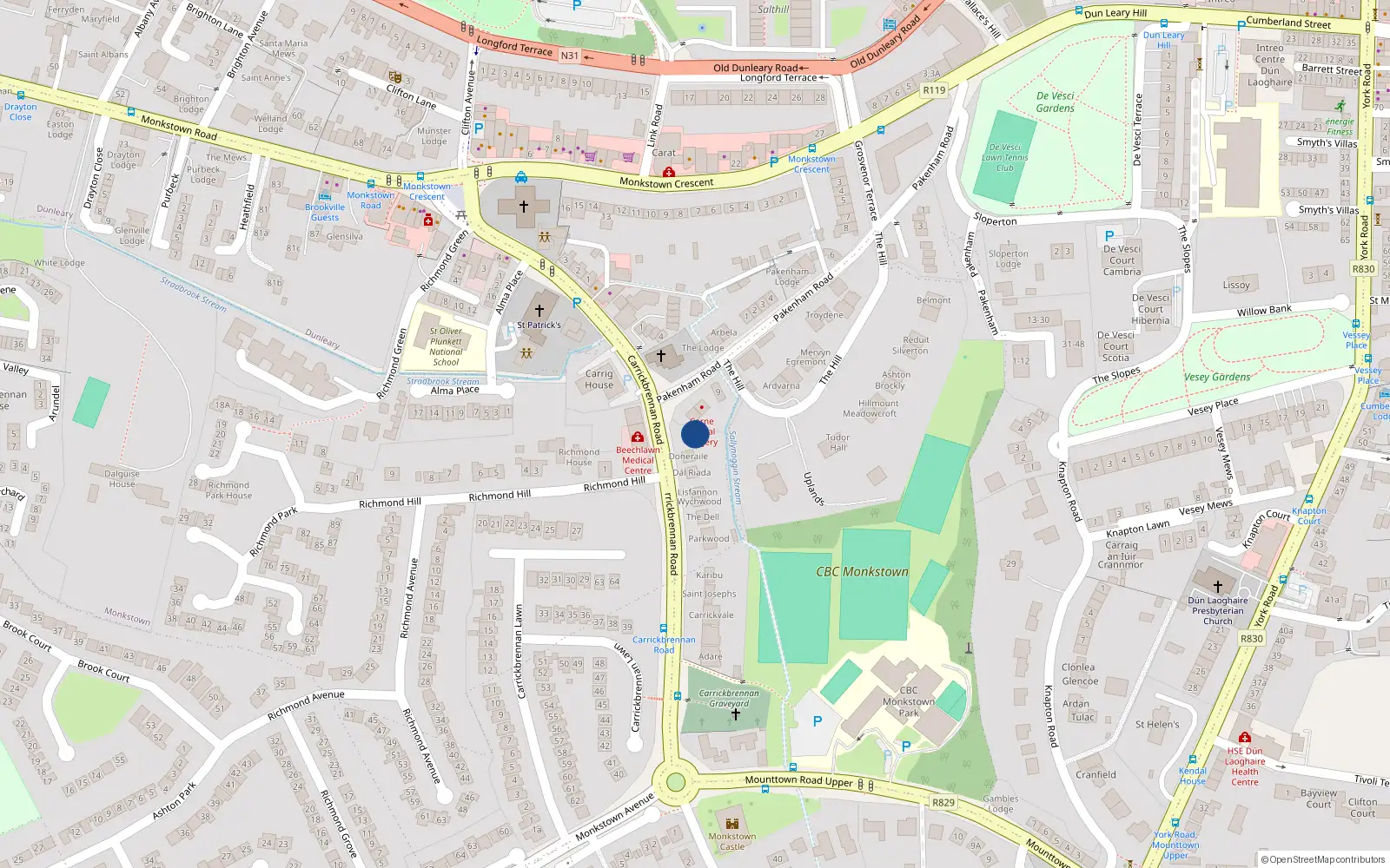 Overhead map showing the location of Carrickbrennan Road, Monkstown
