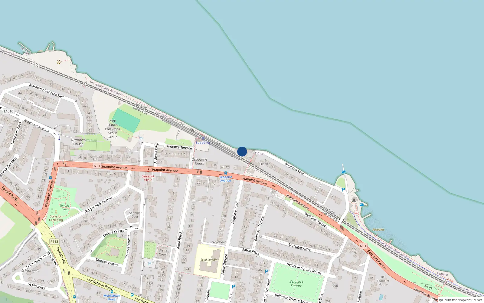 Overhead map showing the location of 17 Brighton Vale, Blackrock