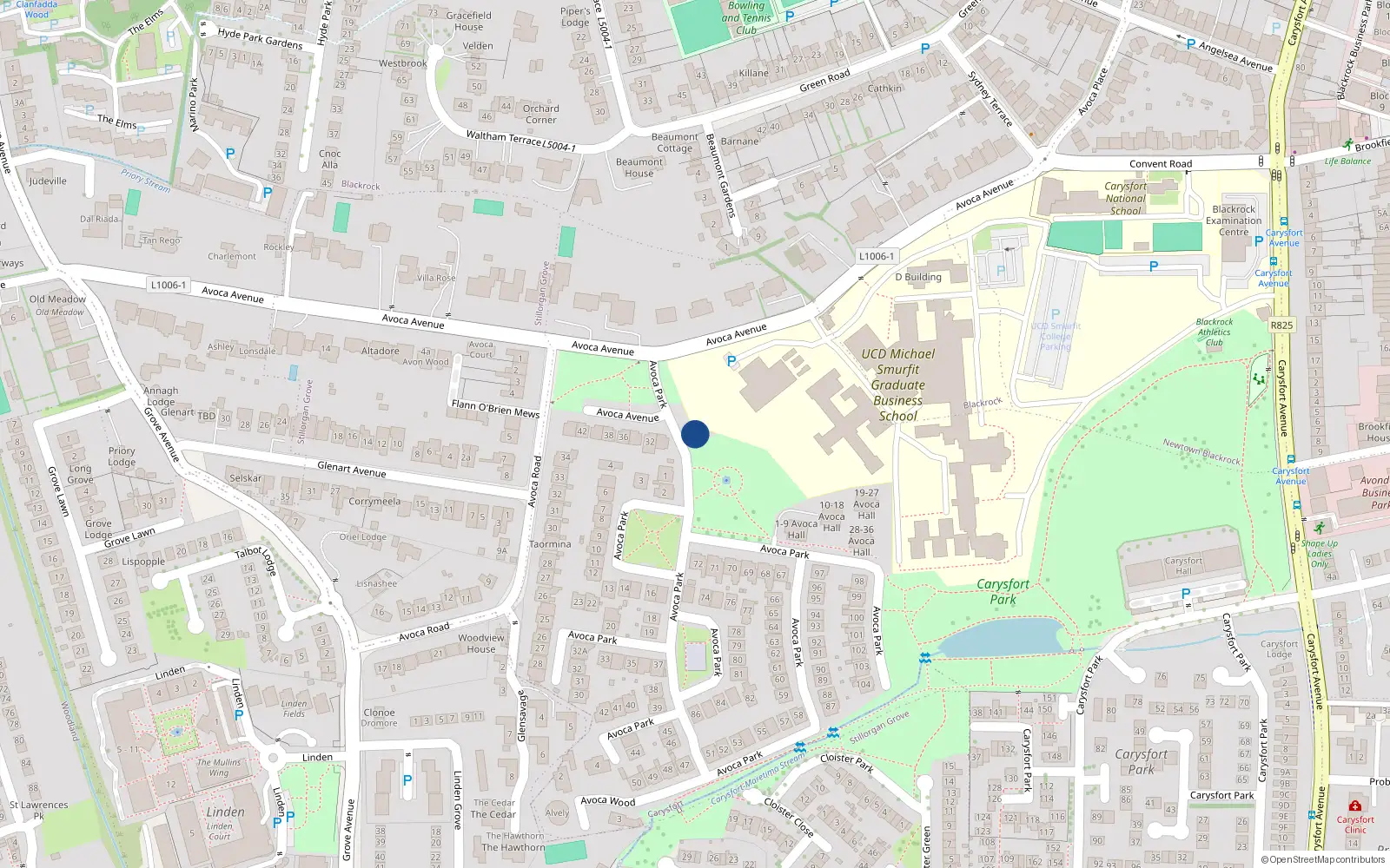 Overhead map showing the location of 105 Avoca Park, Blackrock