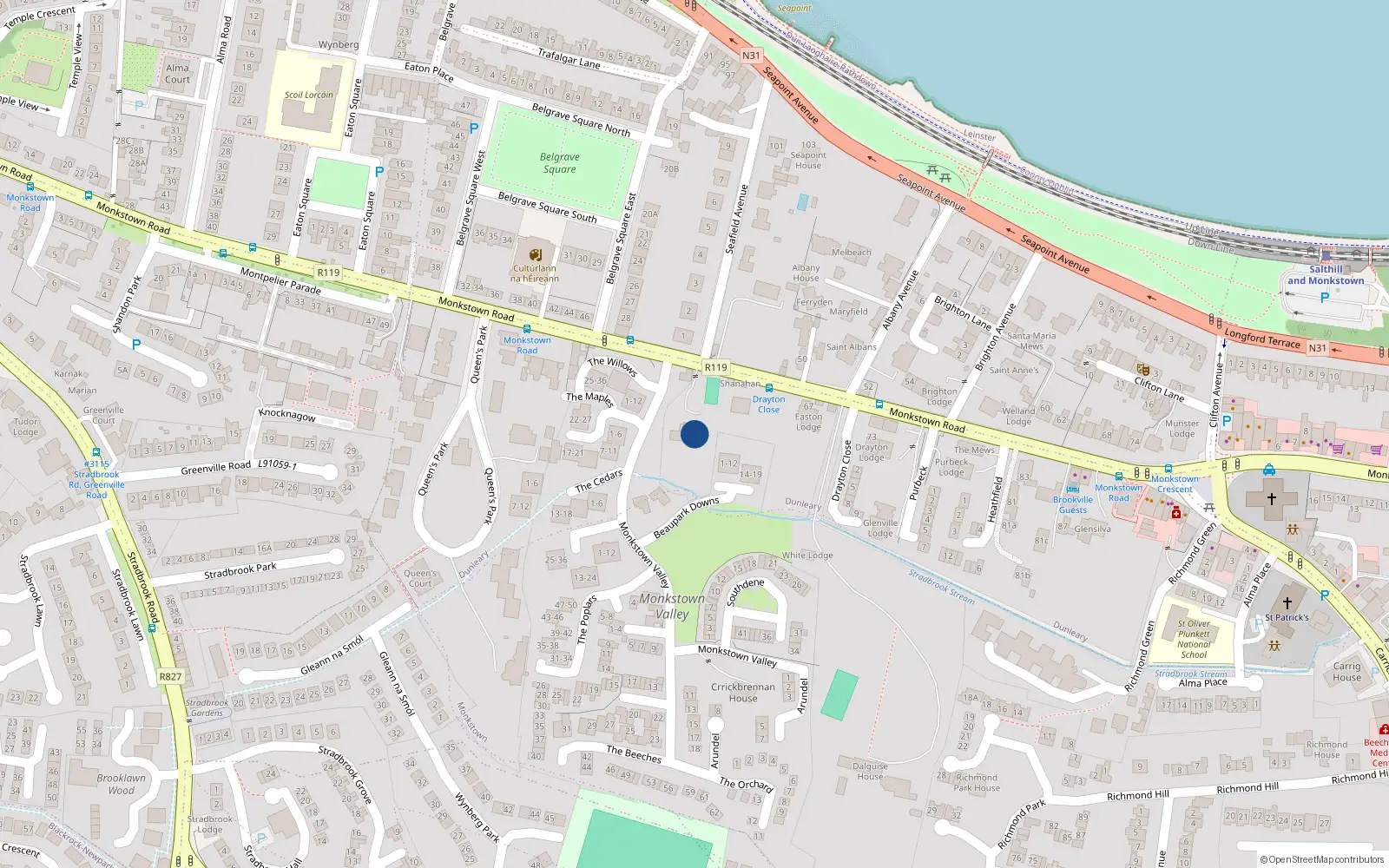 Overhead map showing the location of Monkstown Road, Monkstown