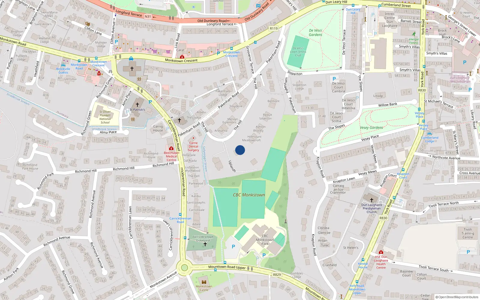 Overhead map showing the location of The Hill, Monkstown