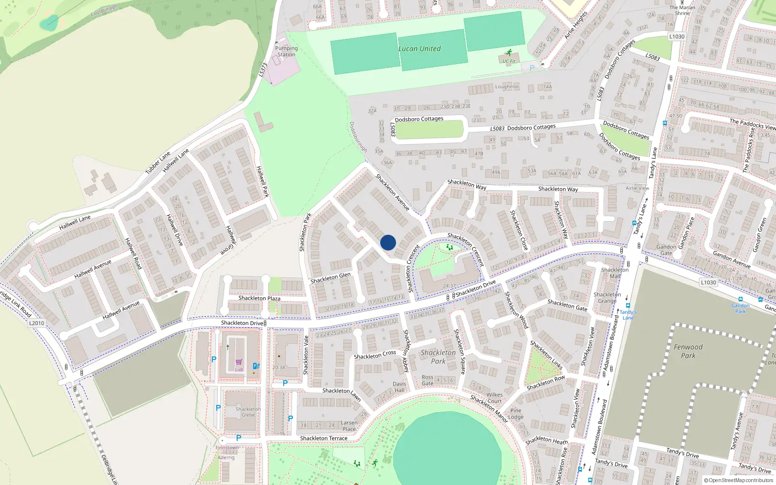 Overhead map showing the location of Unit 1 Shackleton Grove, 1 Shackleton Grove, Lucan