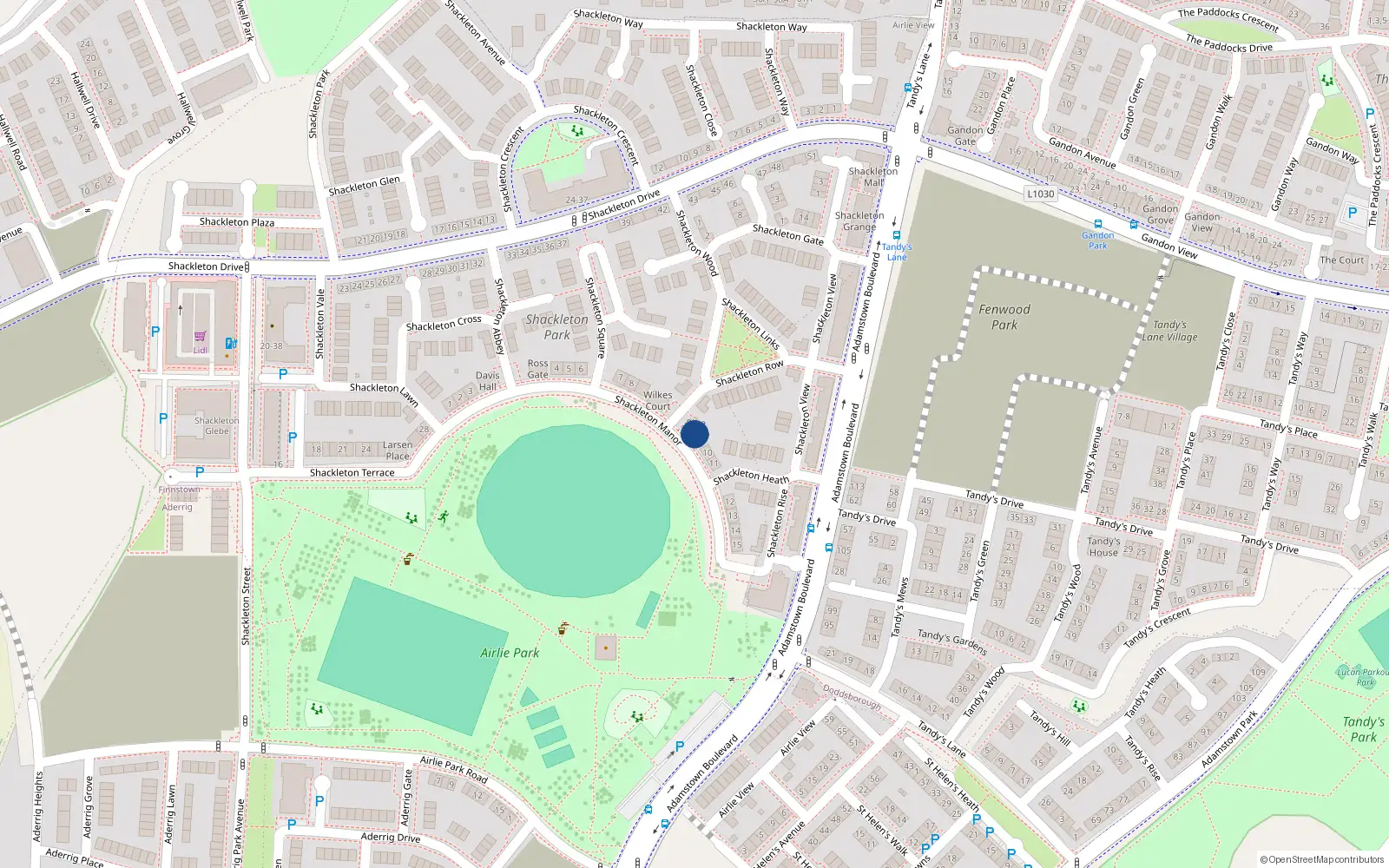 Overhead map showing the location of Units 1 Pine Lodge, Shackleton Manor, Lucan