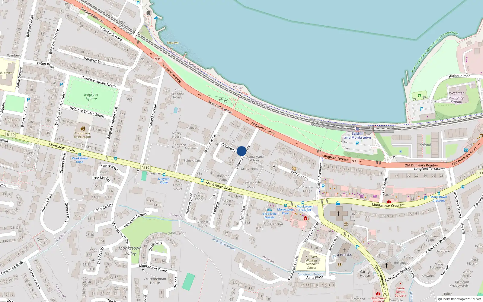 Overhead map showing the location of 1 Brighton Lane, Blackrock