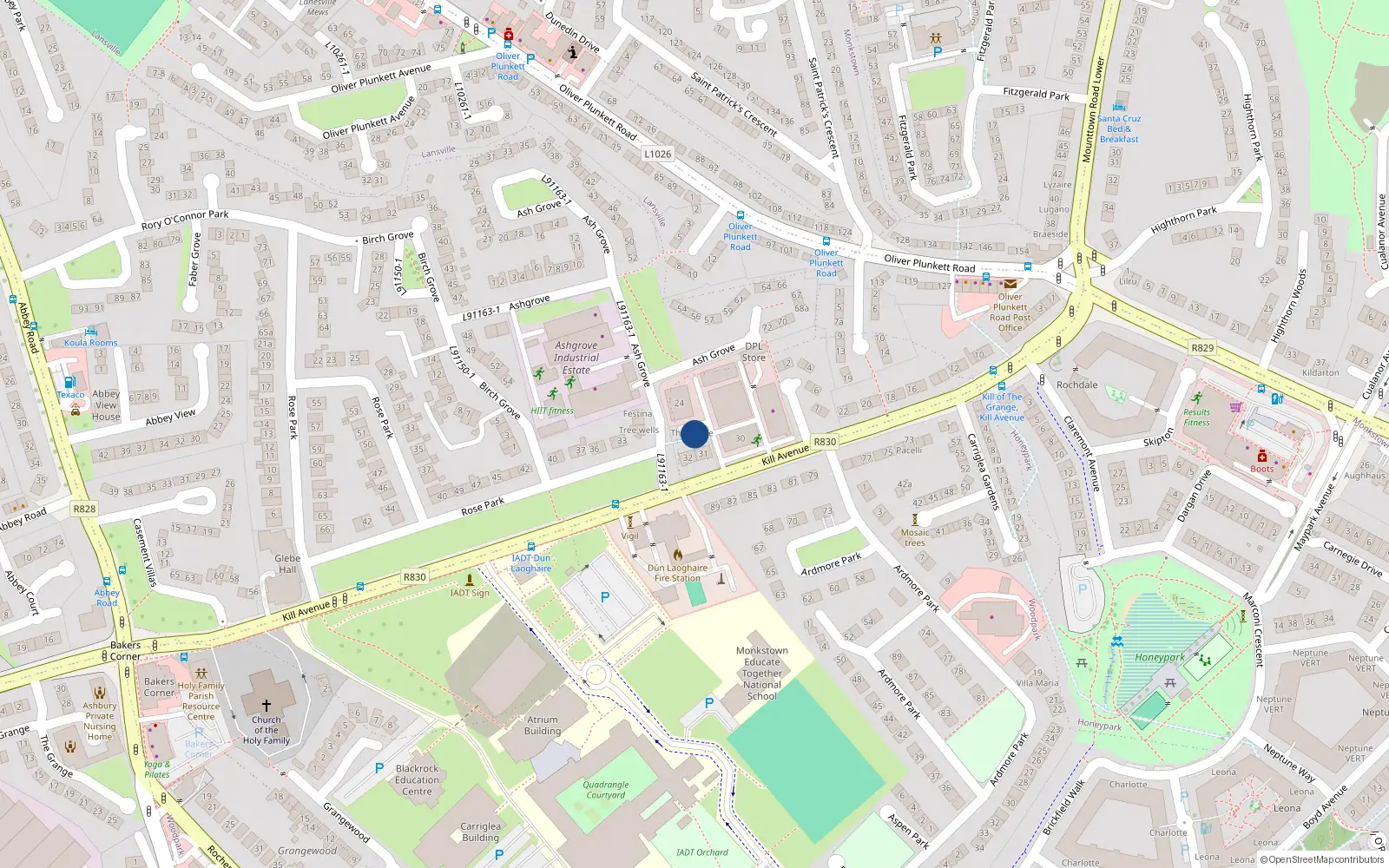 Overhead map showing the location of Kill Avenue, Dun Laoghaire