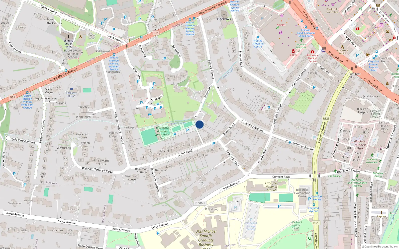 Overhead map showing the location of Sydney Avenue, Blackrock