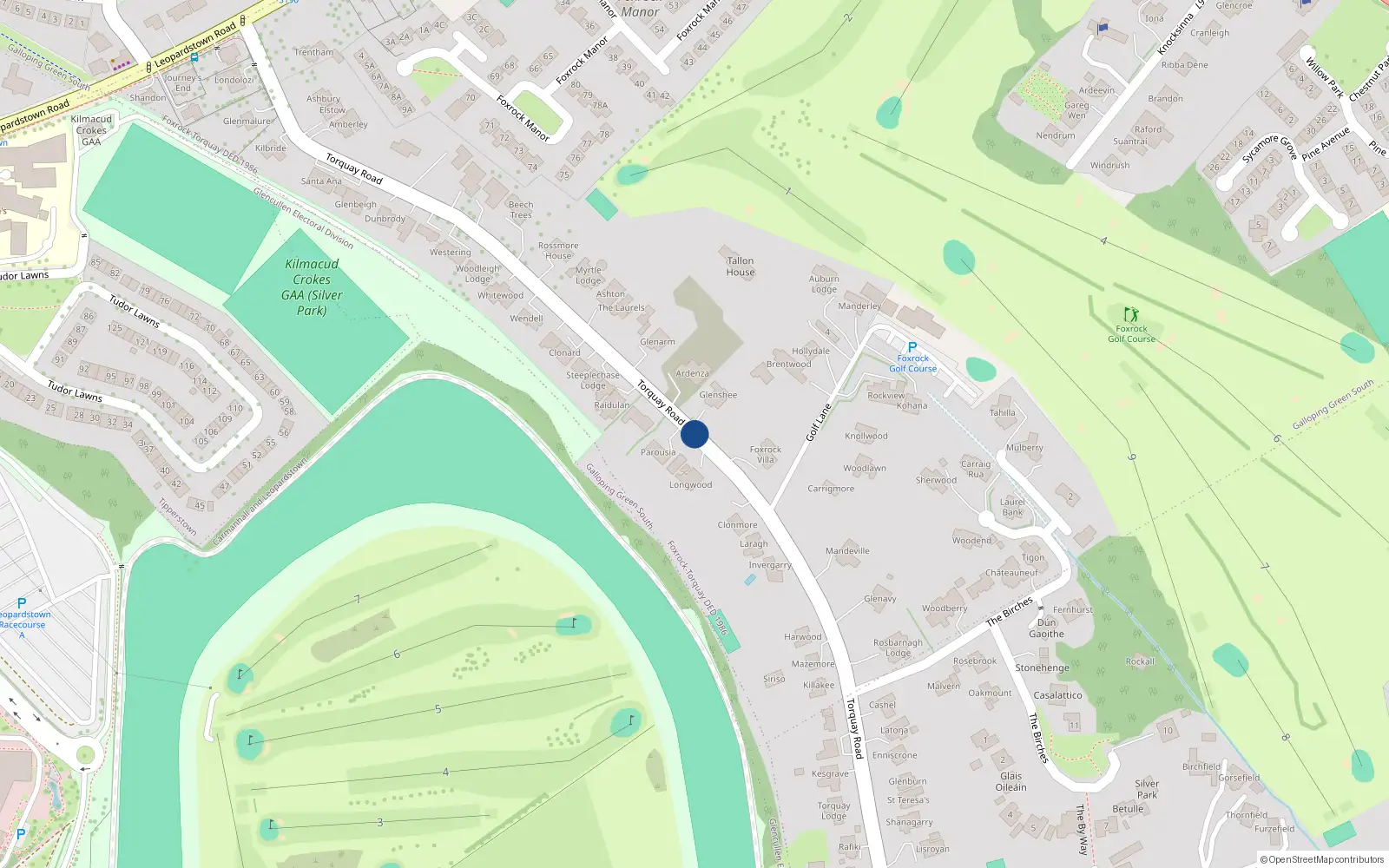 Overhead map showing the location of Torquay Road, Foxrock