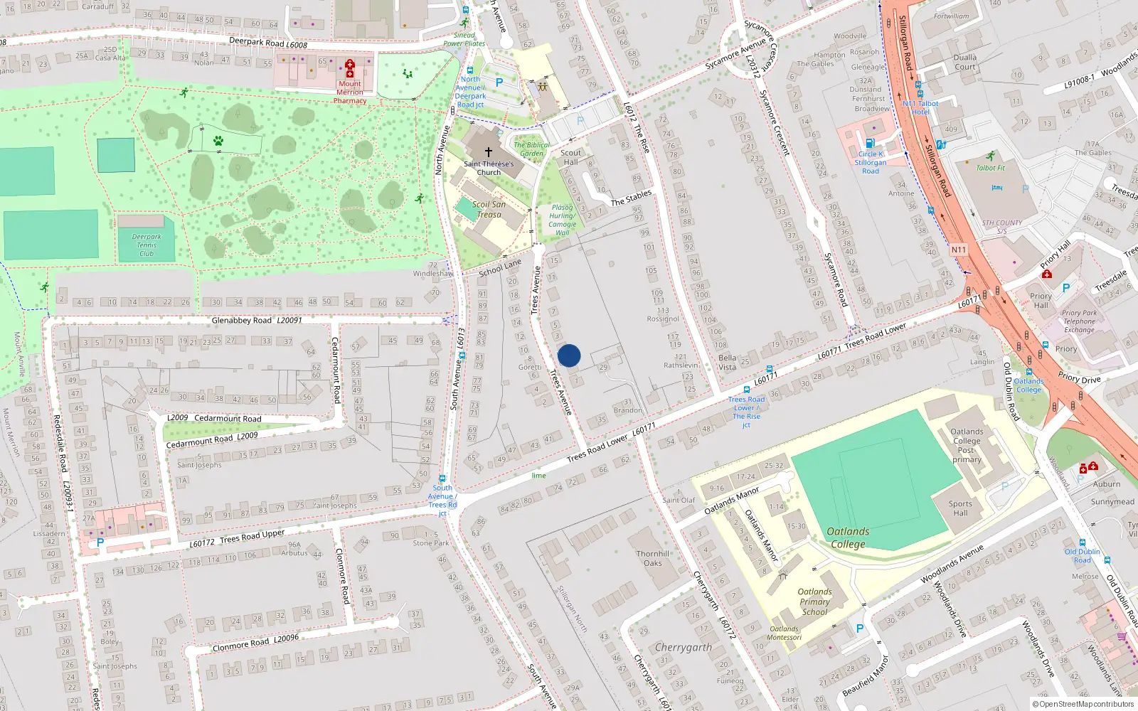 Overhead map showing the location of Trees Avenue, Blackrock