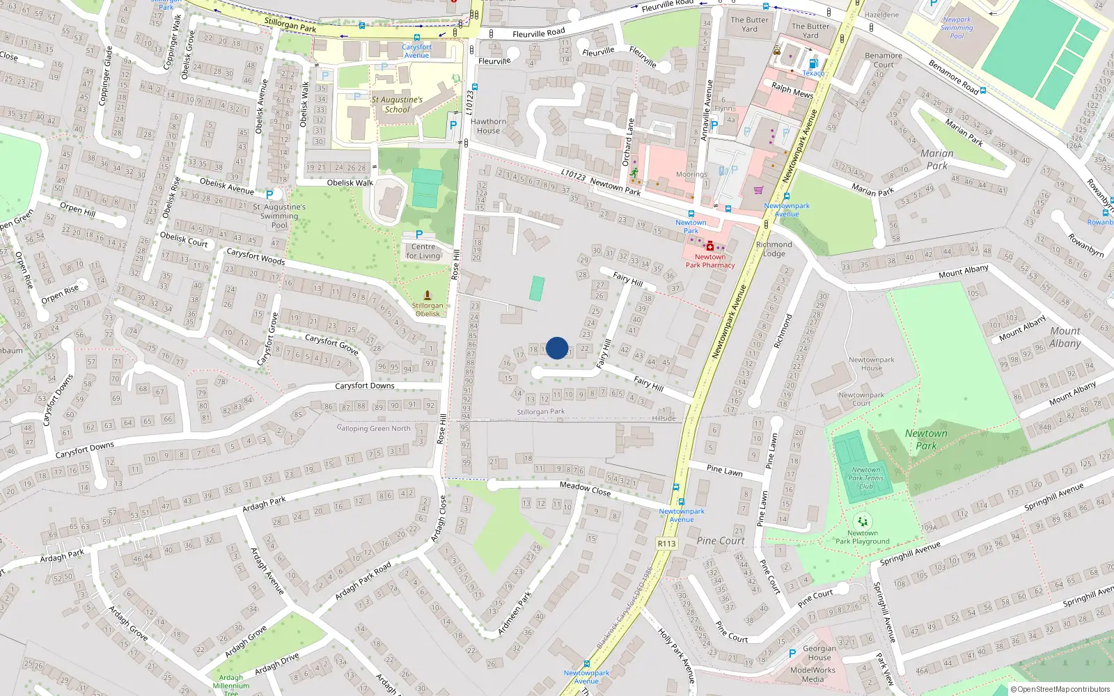 Overhead map showing the location of 20 Fairyhill, Blackrock
