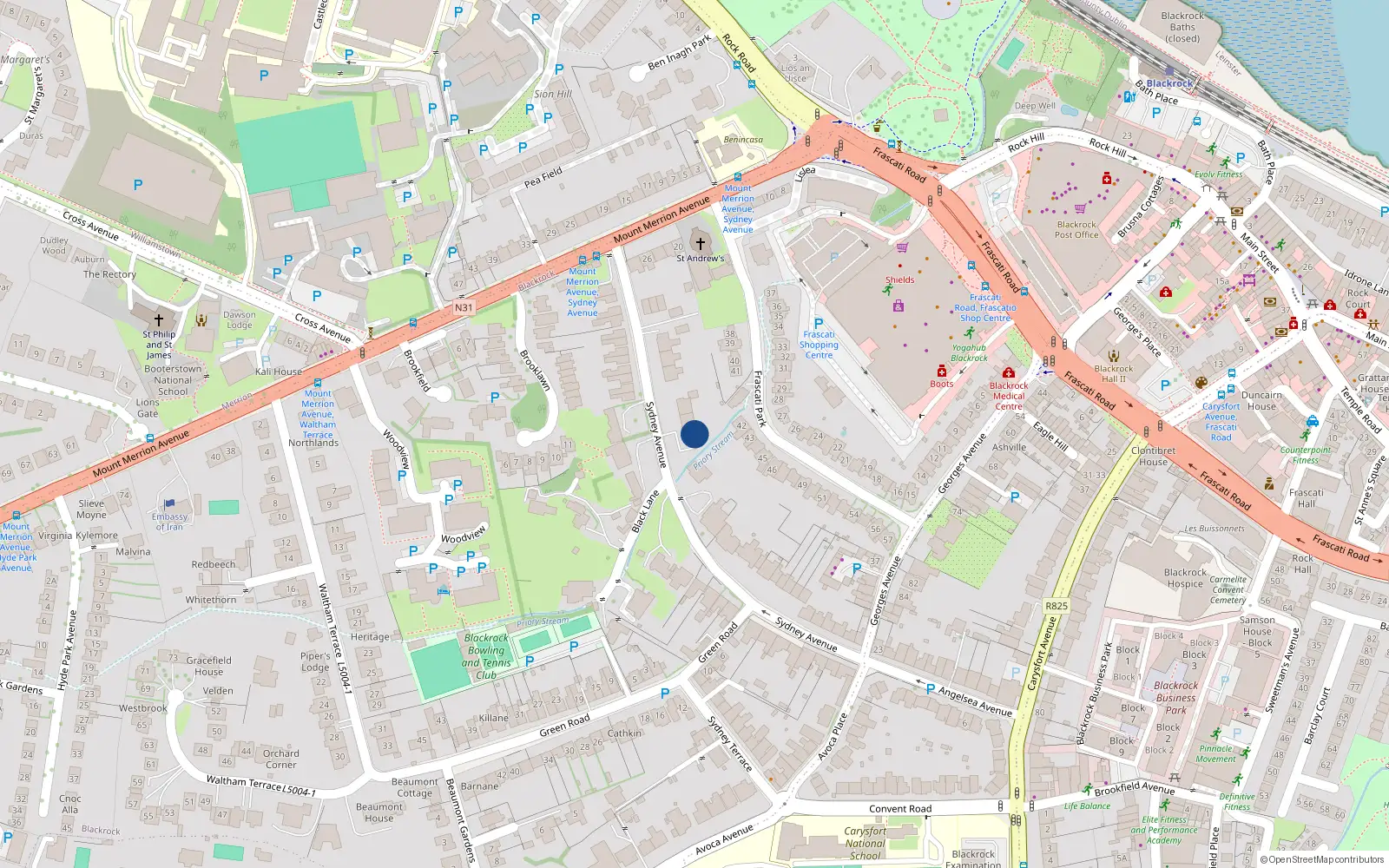 Overhead map showing the location of 31 Sydney Avenue, Blackrock