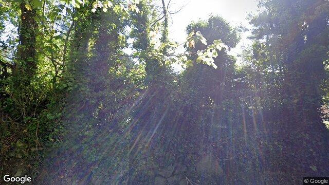 Street view of Lehaunstown, Cabinteely