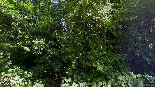 Street view of Sparrows Nook, Alleys River Road, Shankill
