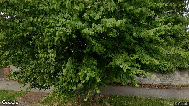 Street view of 30 Ailesbury Drive, Ballsbridge