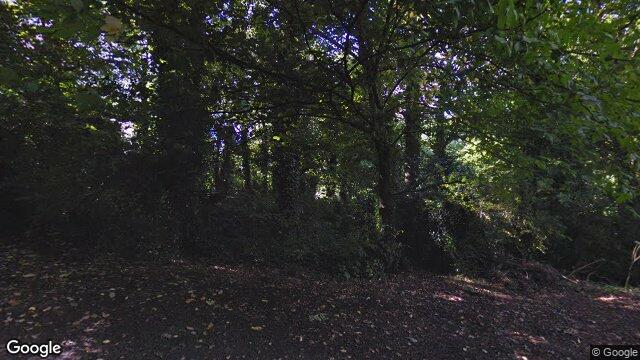 Street view of 25 Killiney Hill Road, Killiney
