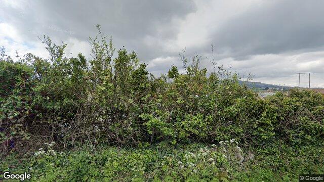 Street view of 76 Castle Way, Laughanstown