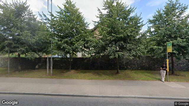 Street view of 59 Rokeby Park, Lucan