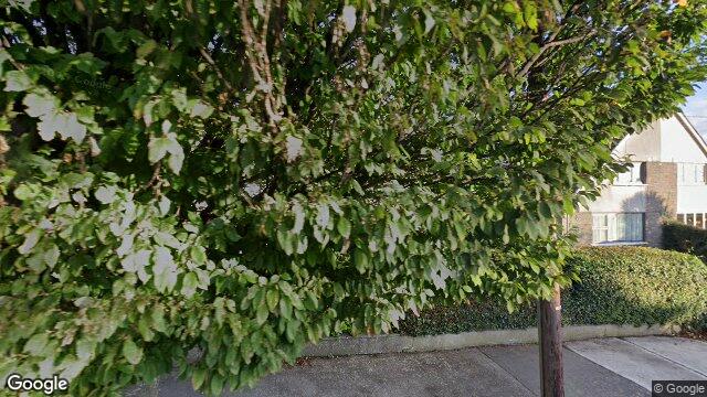 Street view of 60 Springhill Avenue, Deansgrange, Blackrock