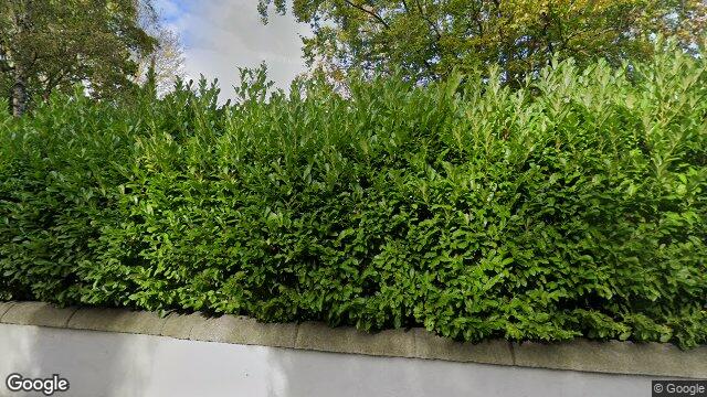 Street view of 23 Avoca Avenue, Blackrock