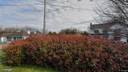 Street view of Esker South