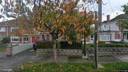 Street view of 50 Springhill Park