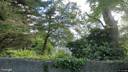 Street view of Killiney Hill Road