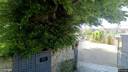 Street view of Sydney Avenue